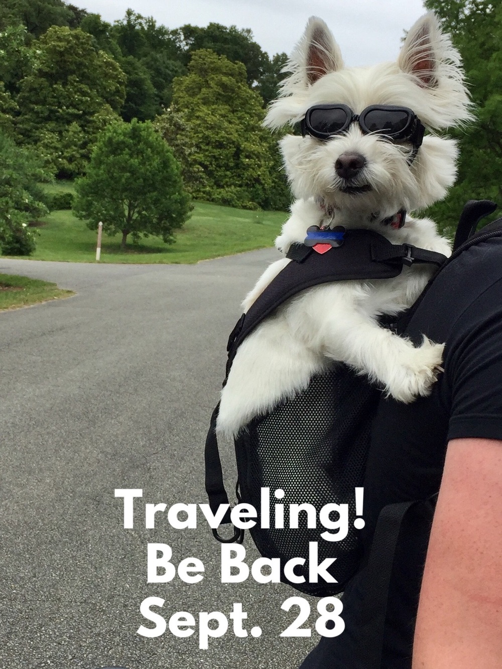 Away for weekend! Be back Monday